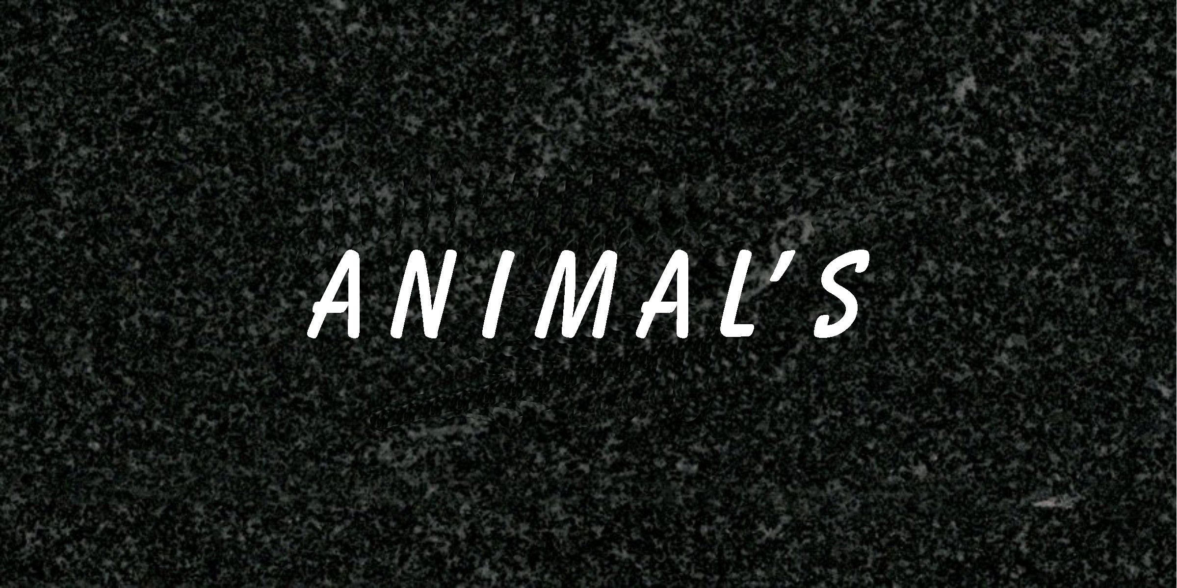 animals