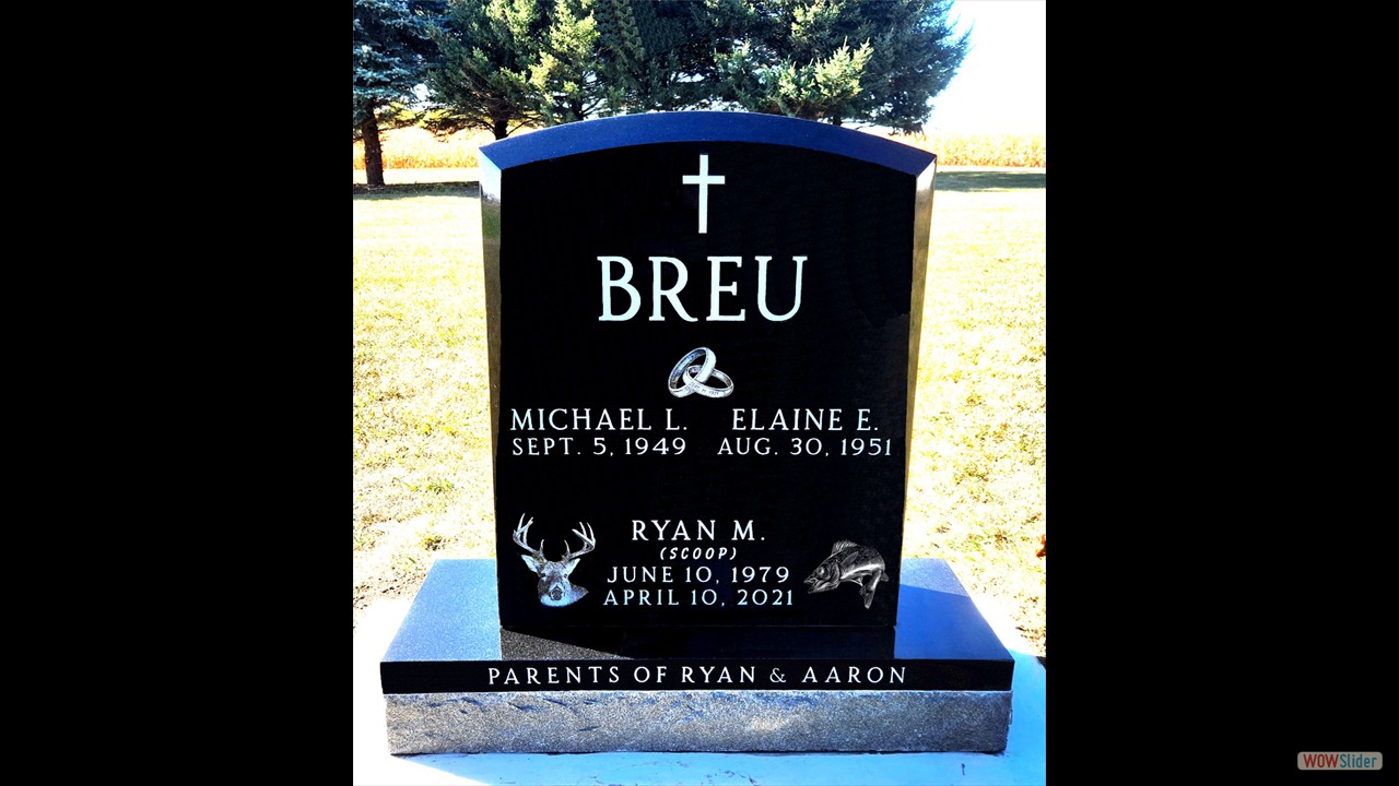 BREU - SEARLES